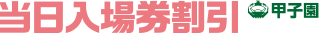 当日入場券割引