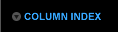 COLUMN INDEX