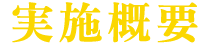 実地概要