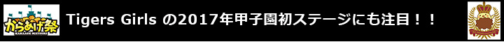 Tigers Girls の2017年甲子園初ステージにも注目！！