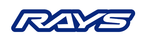 株式会社レイズ