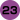 23